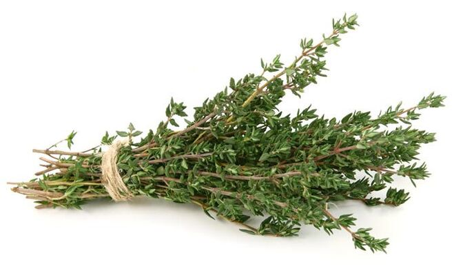 timo per l'ingrandimento del pene