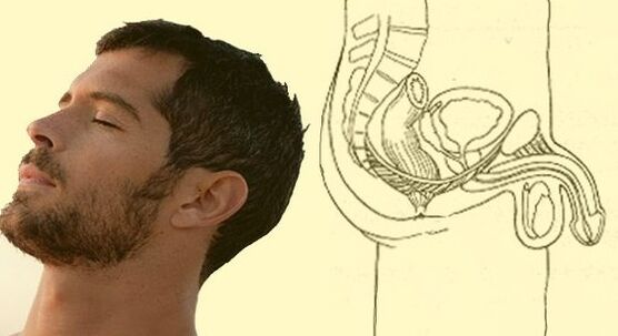 Esercizio di allungamento del pene